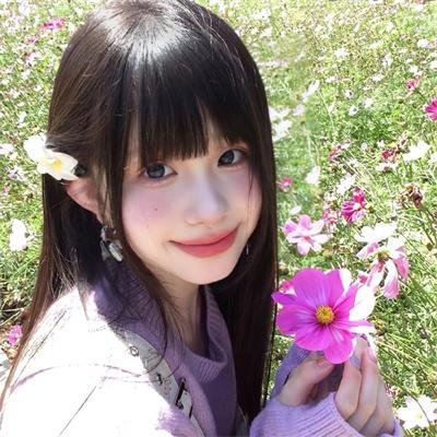 红狐
